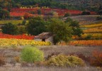 Paysage d’automne Vaucluse