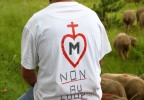 Transhumance Vaucluse 2