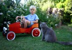 Chat et jeune garçon