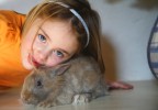 Petite fille et lapin