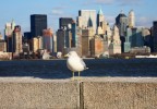 Manhattan New York