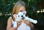 Fillette jouant avec un chien