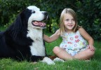 Fillette assise avec un chien