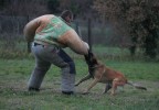 Stage pompier animalier 6