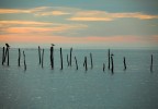 Coucher de soleil sur le bassin d’arcachon