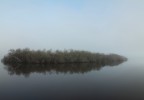 Levé du soleil dans les landes