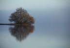 Lac sur la côte aquitaine