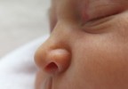 Bébé