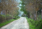 Toscane au printemps 3