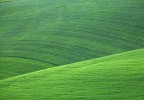 Toscane au printemps 2