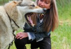 Loup