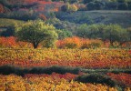 le vaucluse en automne