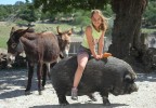 Cochon noir