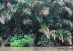 Costa Rica 25