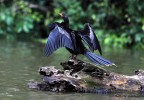 Costa Rica 29