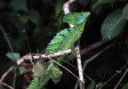 Costa Rica 30