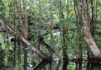 Costa Rica 51