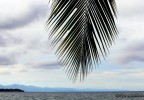 Costa Rica 60