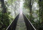 Costa Rica 8