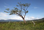 Costa Rica 12