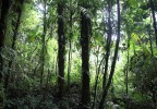 Costa Rica 18