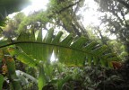 Costa Rica 19