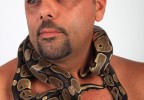 Python royal 3