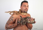 Python royal et boa constructor 6