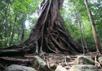 Sri Lanka 29