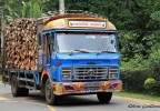 Sri Lanka 33