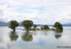 Sri Lanka 42