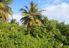 Maldives 4