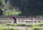 Sri lanka 4