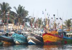 Sri Lanka 7