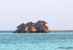 Maldives 1