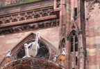 strasbourg 4