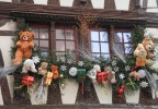 strasbourg 7