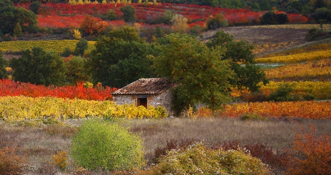 Paysage d’automne Vaucluse