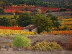 Paysage d’automne Vaucluse