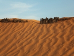 Dune de sable Djerba Tunisie