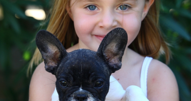 Fillette et chien Fillette et chien