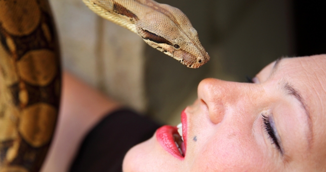 Sandra et shéhérazade 2 Sandra et shéhérazade 2