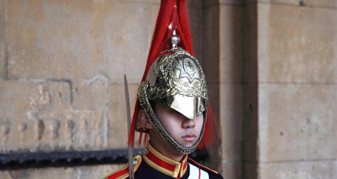 Horse guards