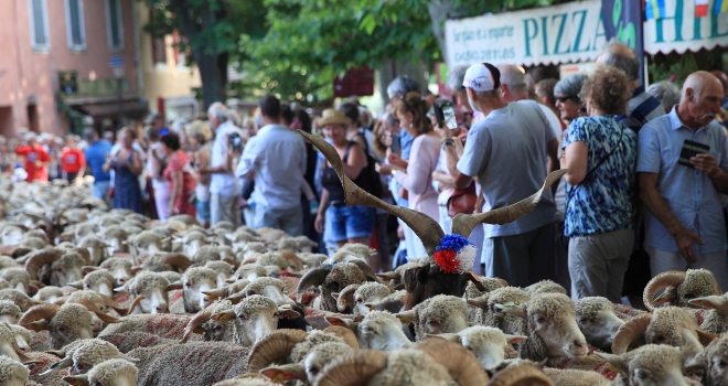 Transhumance Bedoin 2016 13 Transhumance Bedoin 2016 13