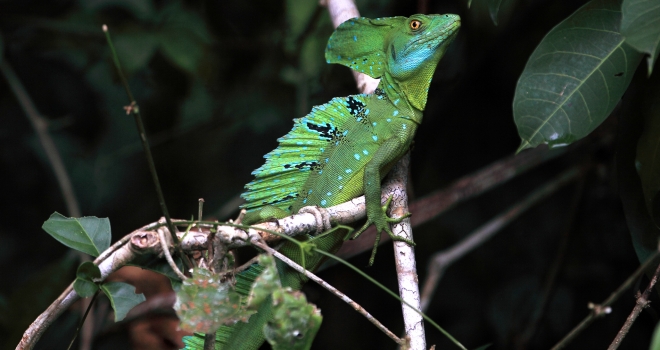 Costa Rica 30 Costa Rica 30