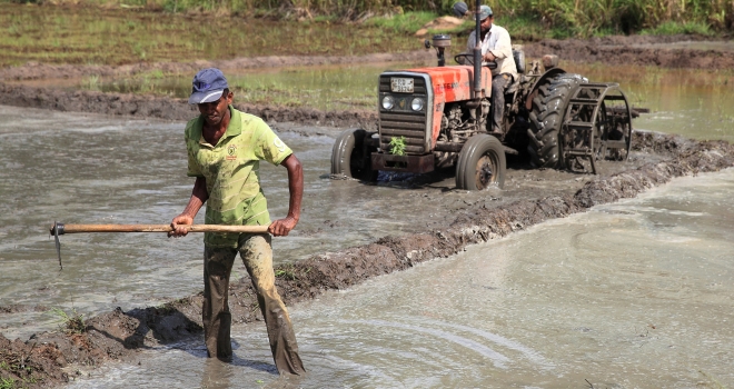 Sri Lanka 28 Sri Lanka 28