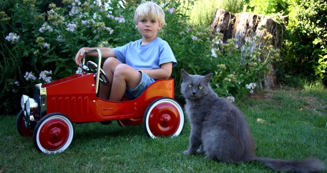 Chat et jeune garçon Chat et jeune garçon