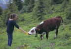 Jeune fille et vache