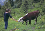 Jeune fille et vache