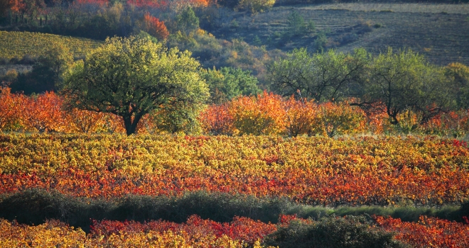 le vaucluse en automne le vaucluse en automne